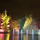 Herbstleuchten im Maximilianpark Hamm