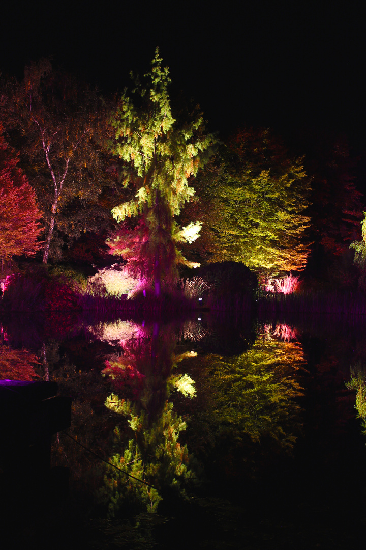 Herbstleuchten Im Maxipark Hamm/NRW