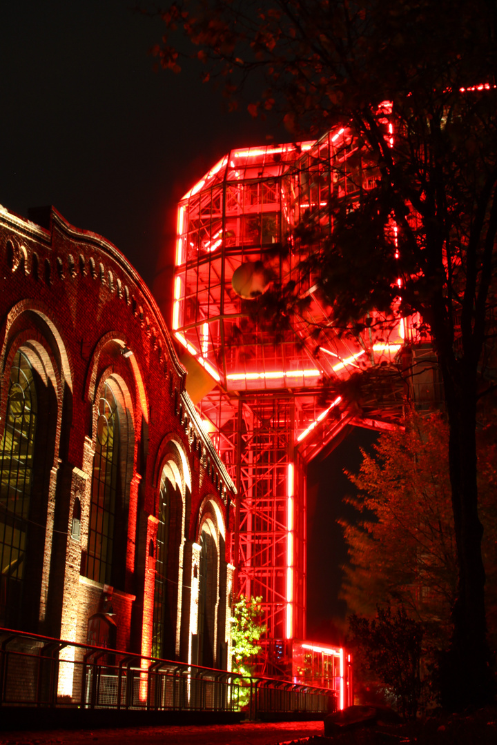 Herbstleuchten im Maxipark III