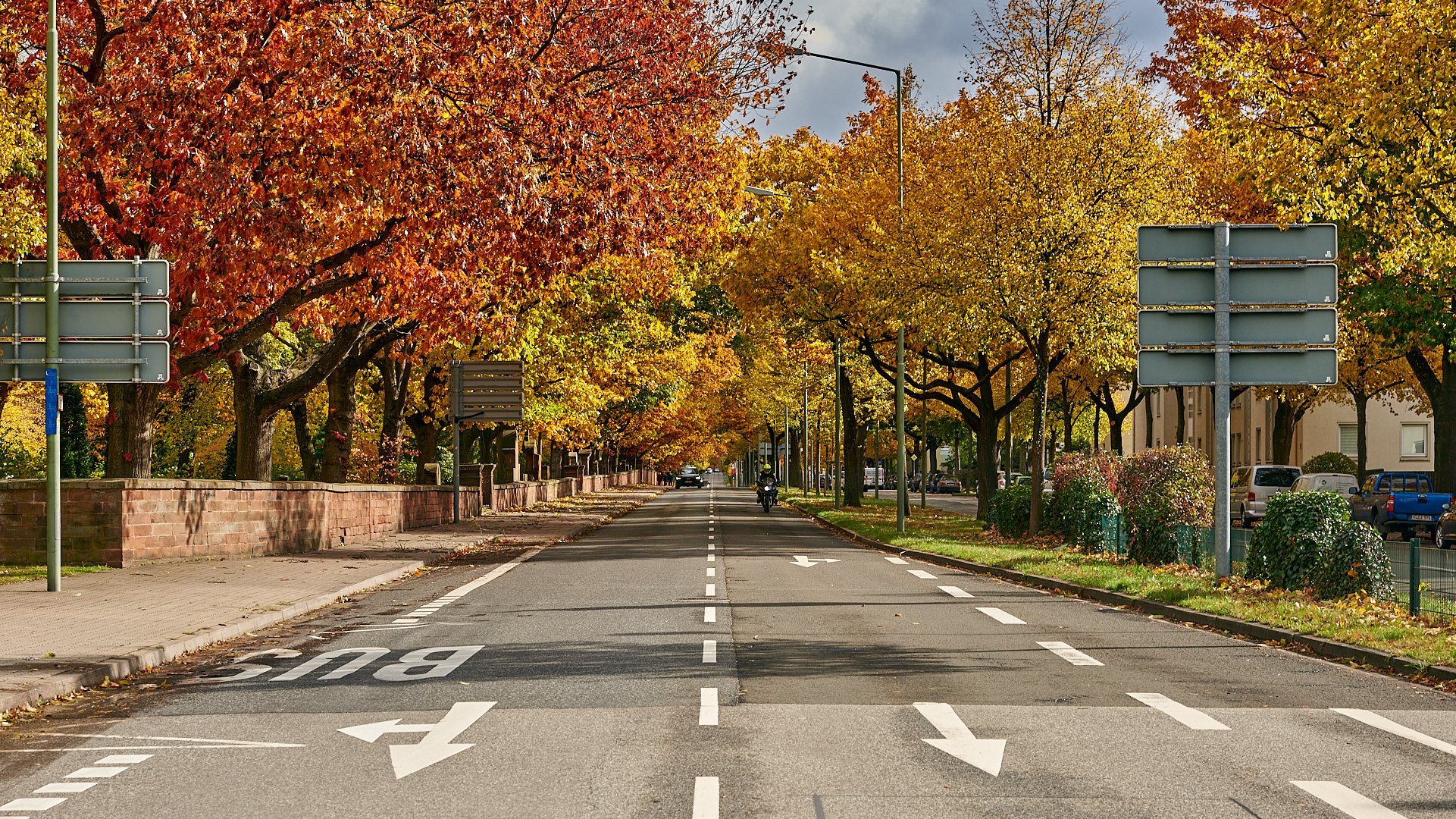 Herbstleuchten im meiner Stadt