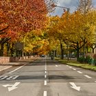 Herbstleuchten im meiner Stadt