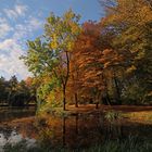 Herbstleuchten im Park