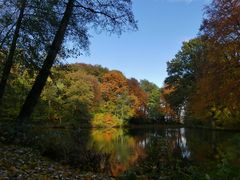 Herbstleuchten im Wald