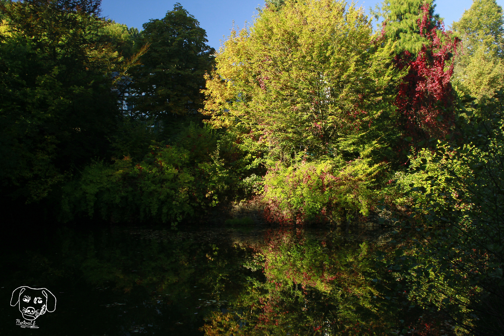 Herbstleuchten in Dahl