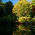 Herbstleuchten in Dahl