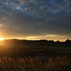 Herbstleuchten in den Elbwiesen