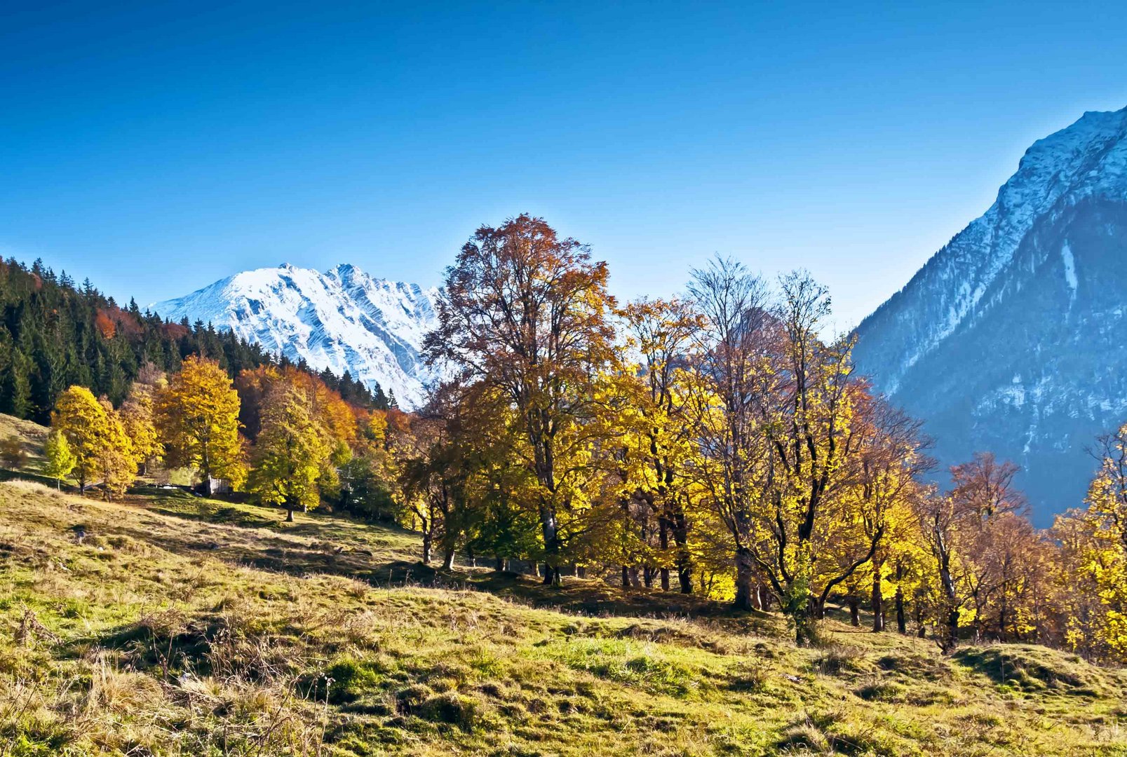 Herbstleuchten in der Ramsau