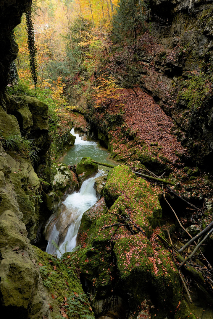 Herbstleuchten in der Taubenlochschlucht