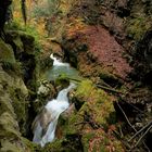 Herbstleuchten in der Taubenlochschlucht