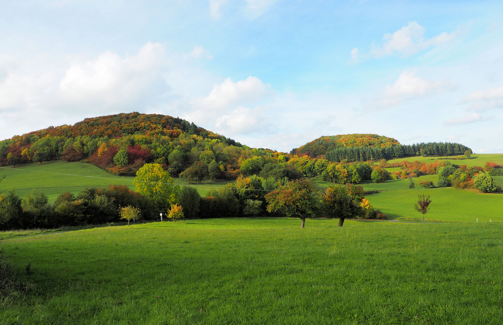 Herbstleuchten in der Vulkan Eifel ....