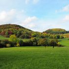 Herbstleuchten in der Vulkan Eifel ....