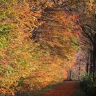 Herbstleuchten - jetzt heisst es 1 Jahr drauf warten