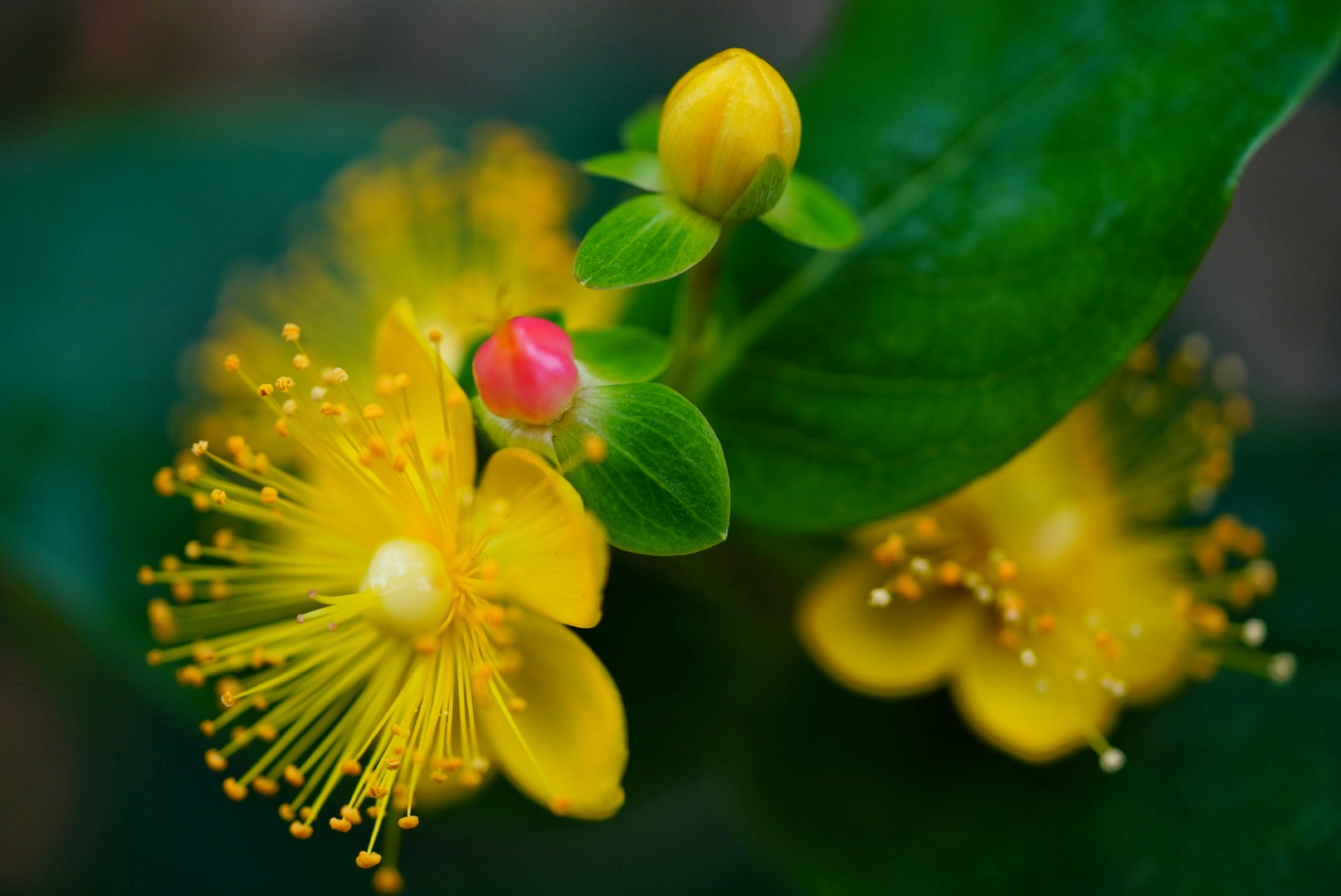 Herbstleuchten mal anders