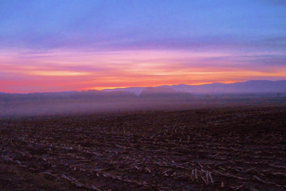 Herbstleuchten (Oktobermorgen in der Rheinebene)