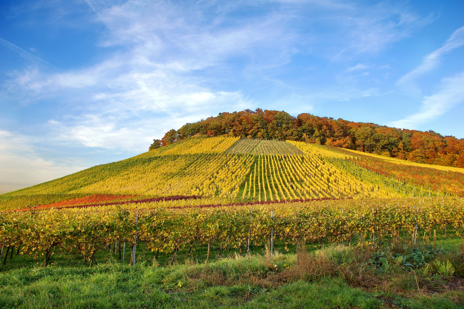 Herbstleuchten Reichshälde 