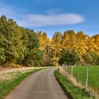 Herbstleuchten, traumhaftes Wanderwetter haben wir momentan.