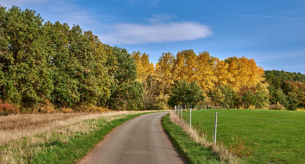 Herbstleuchten, traumhaftes Wanderwetter haben wir momentan. Foto