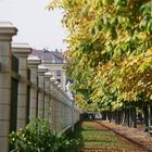herbstlices Schönbrunn