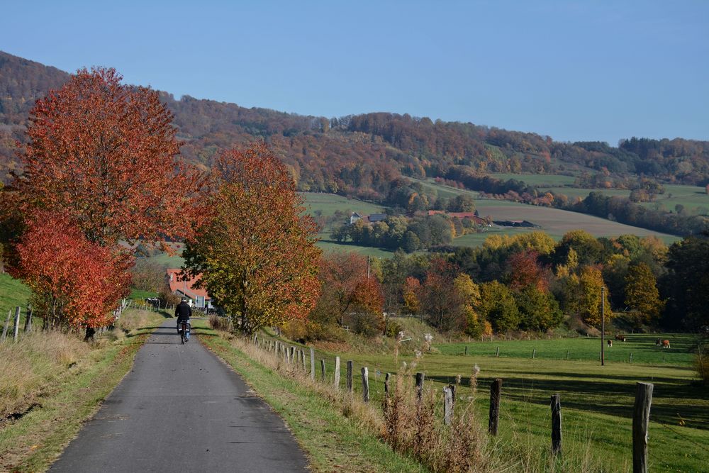 herbstlich.......