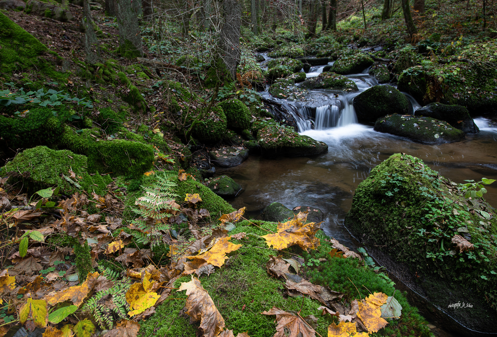 Herbstlich !!