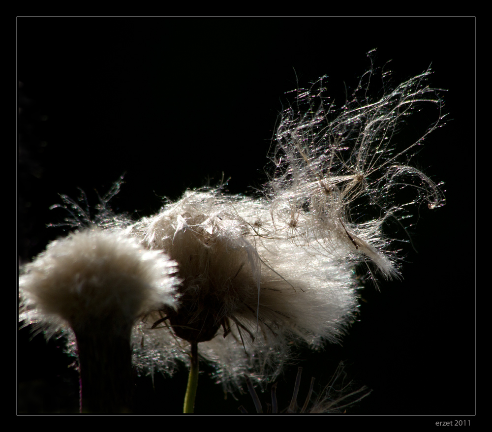 Herbstlich...