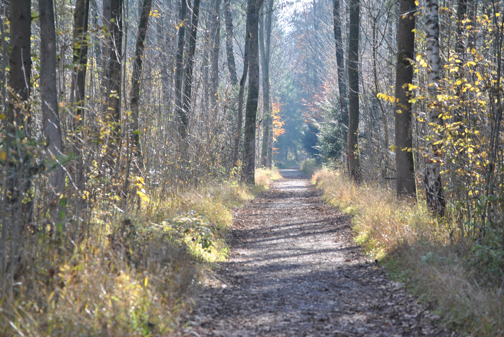 Herbstlich