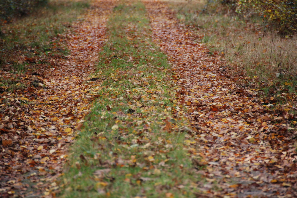 Herbstlich