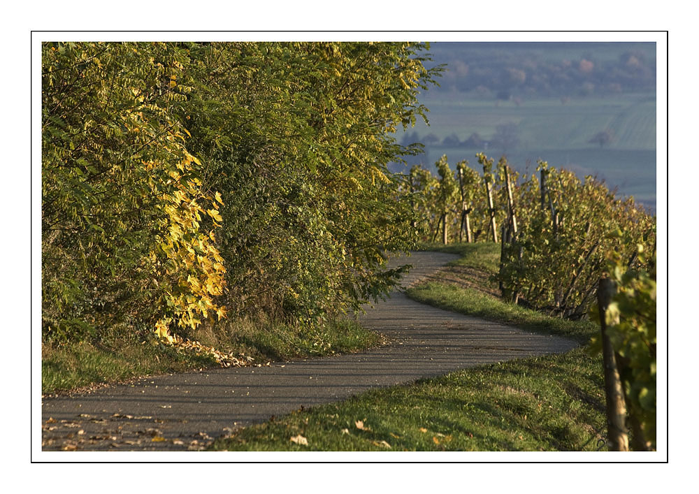 Herbstlich