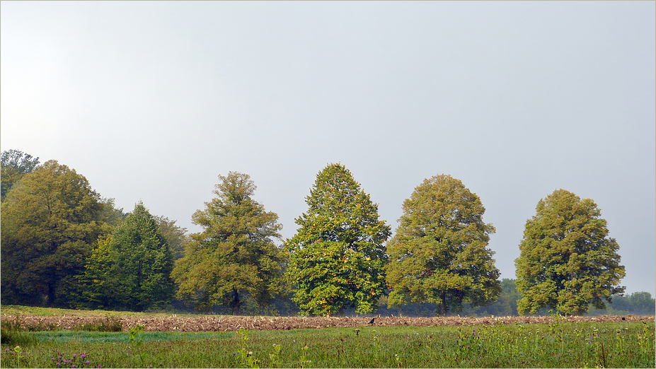 Herbstlich