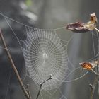 Herbstlich