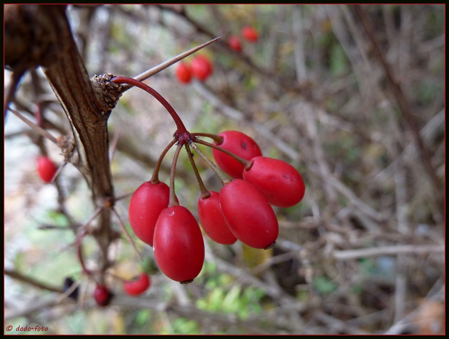 °° HERBSTLICH °°