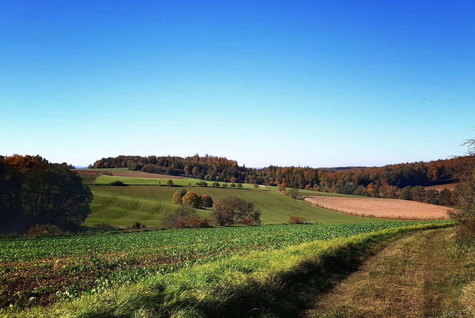 herbstlich