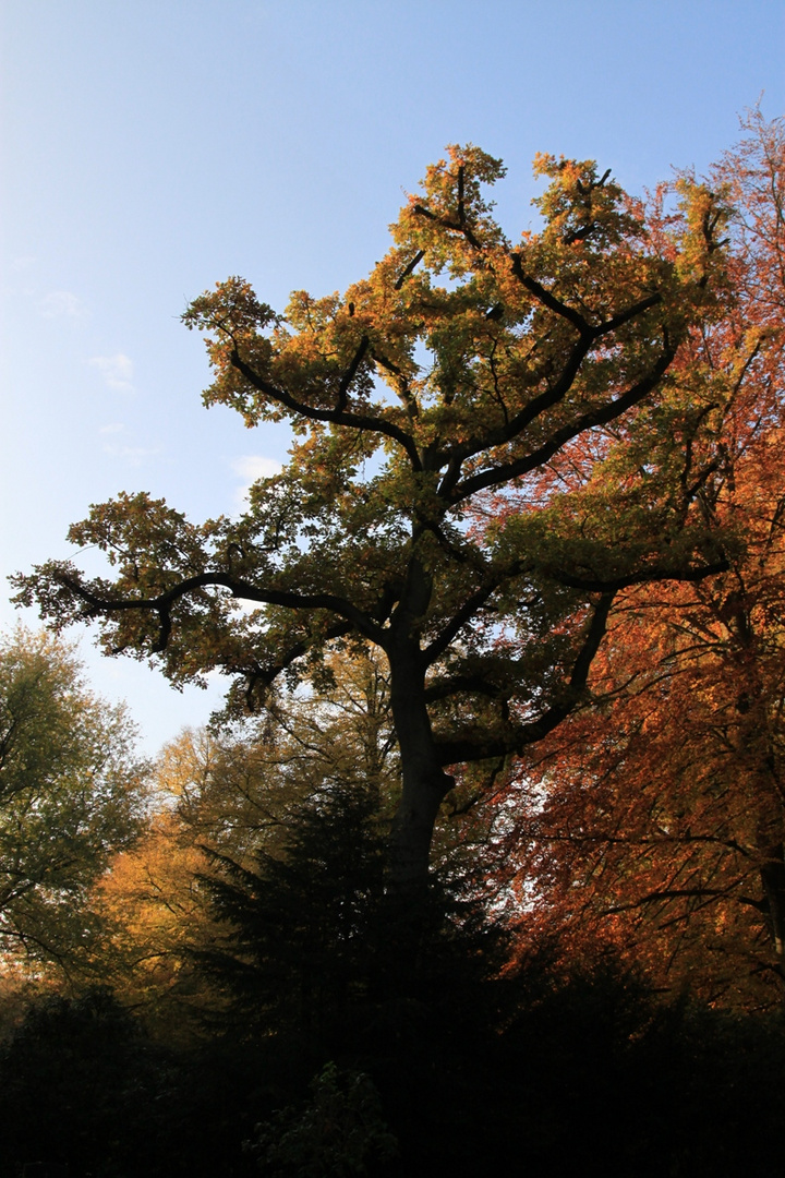 Herbstlich