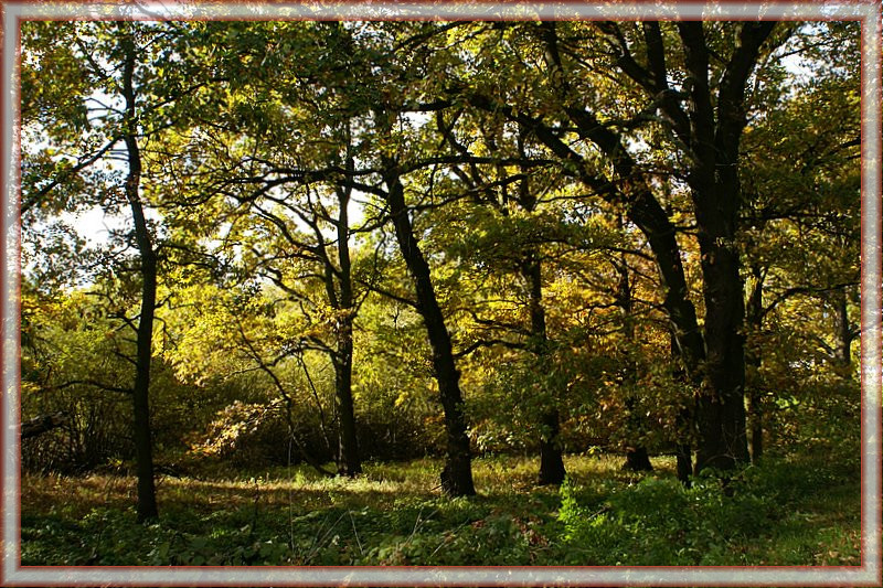 Herbstlich