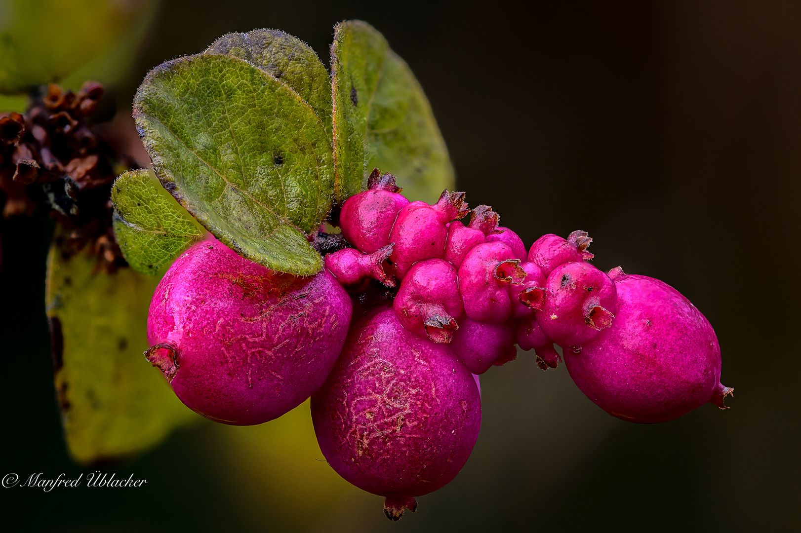 herbstlich ...