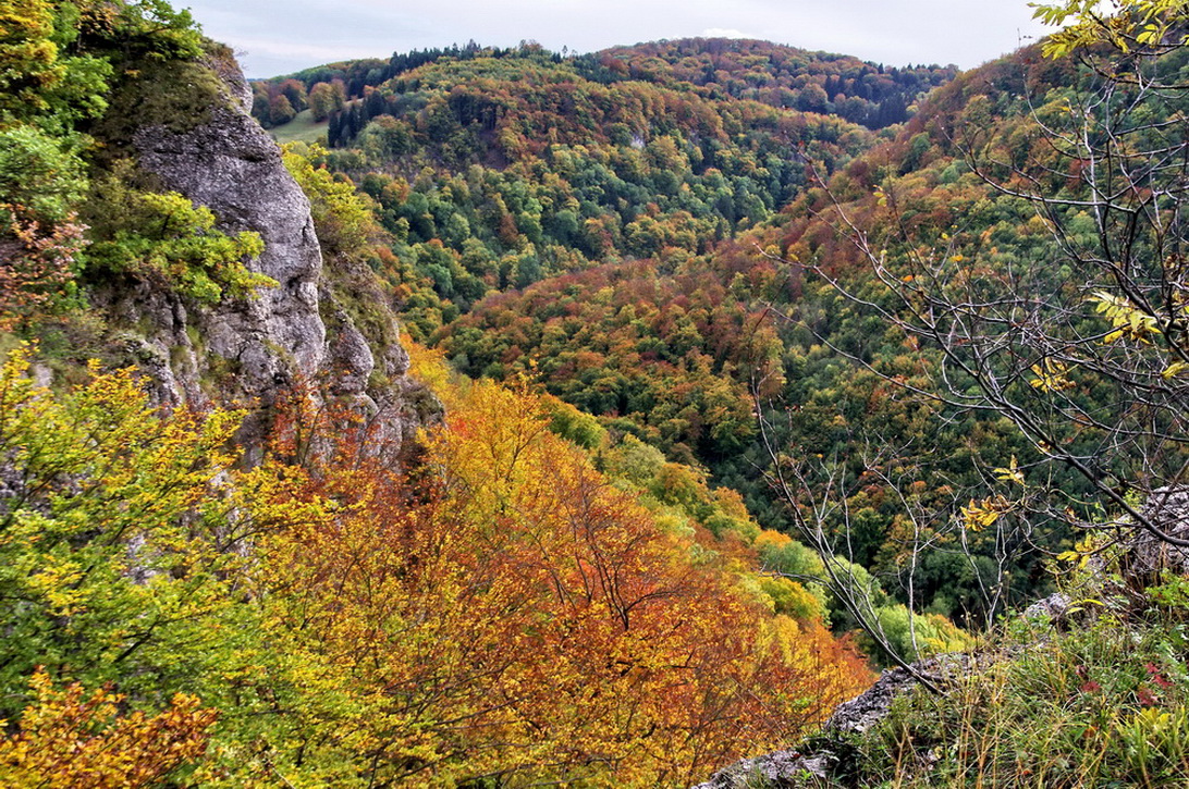 herbstlich