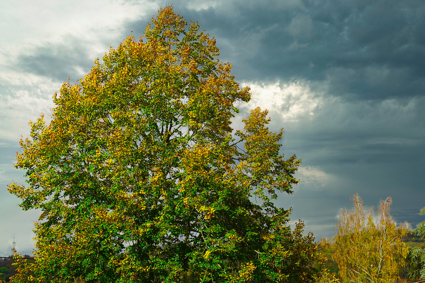 Herbstlich