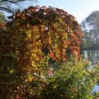 Herbstlich 2