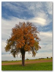 herbstlich 2