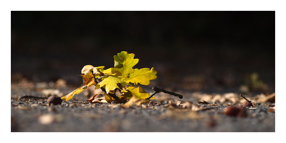 herbstlich...