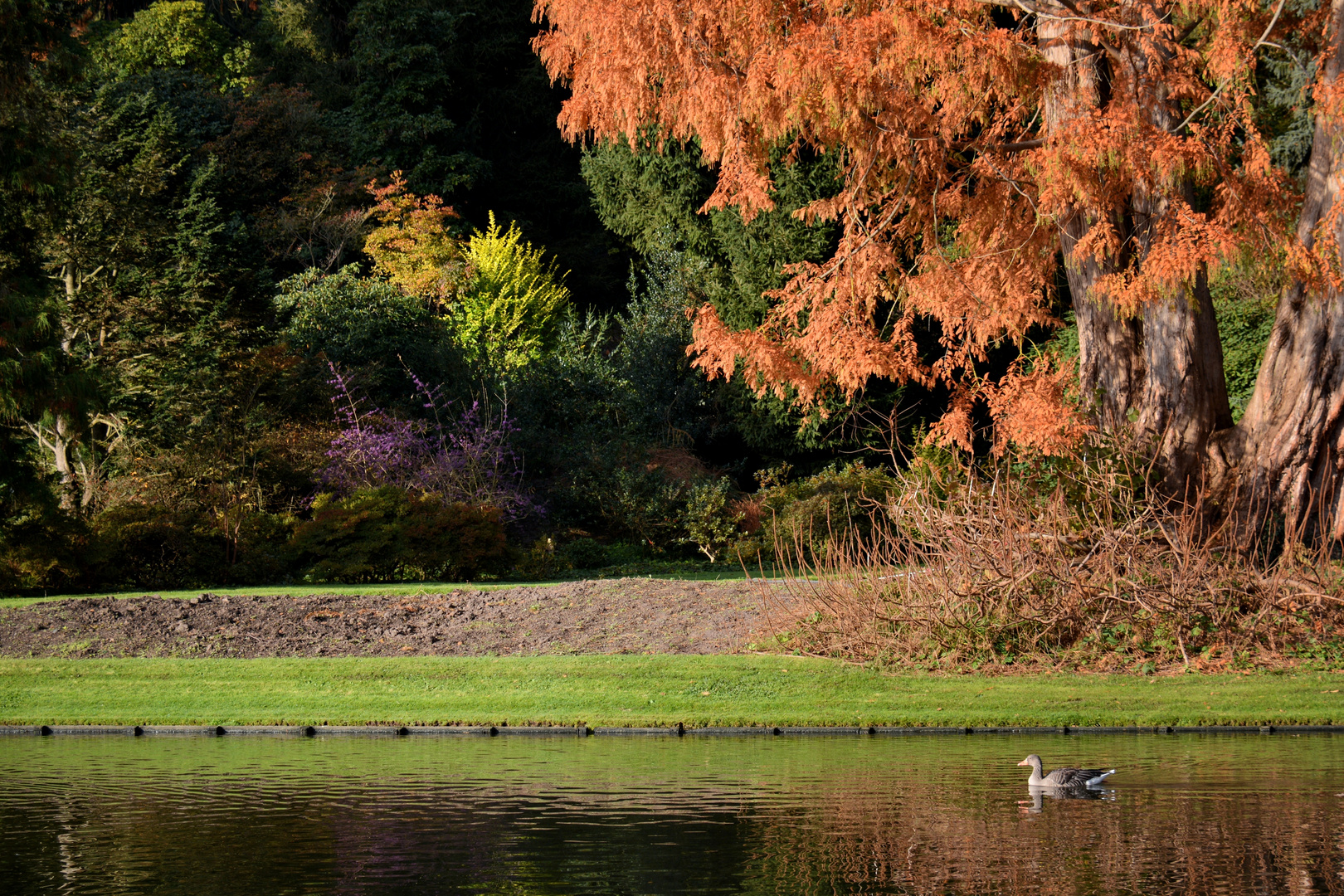 herbstlich.......