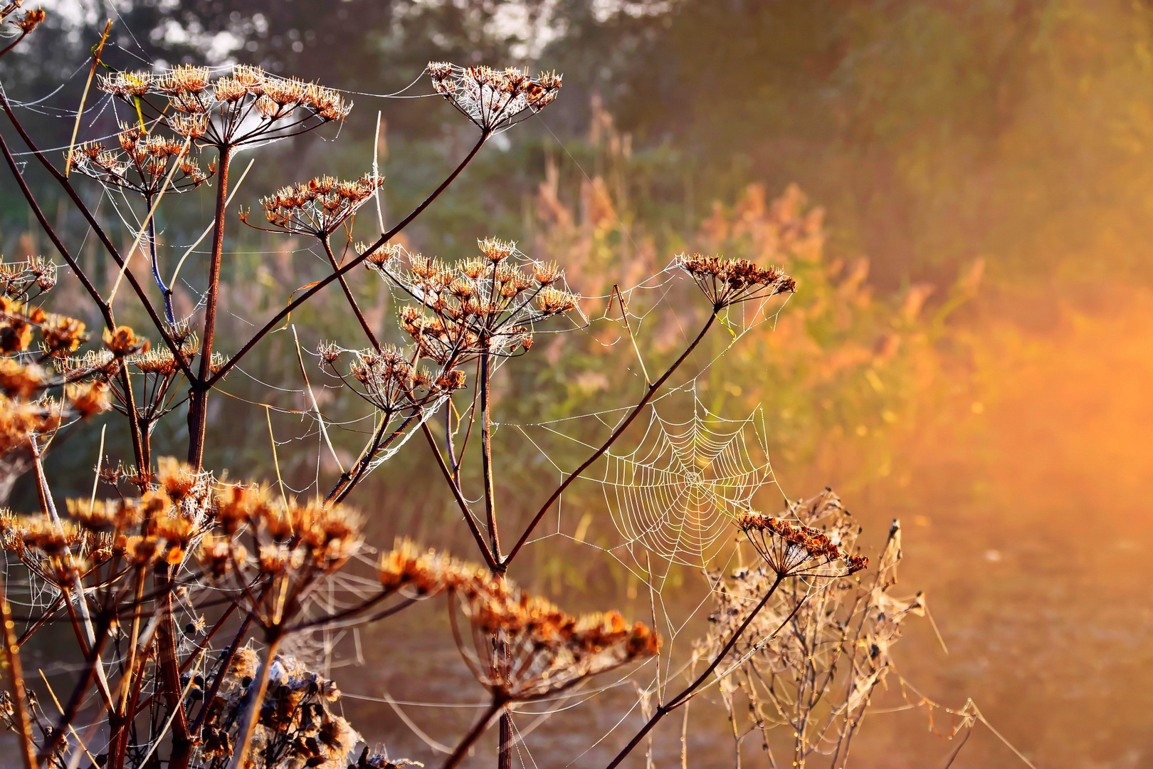 Herbstlich