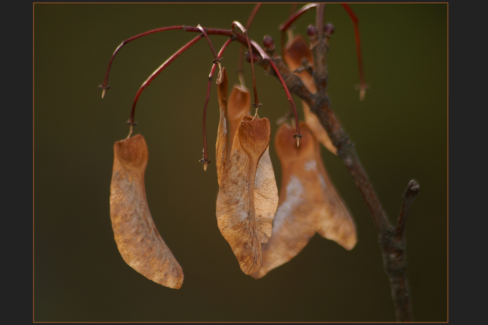 Herbstlich