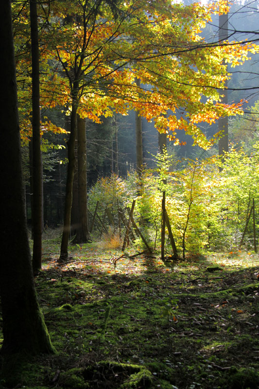 Herbstlich