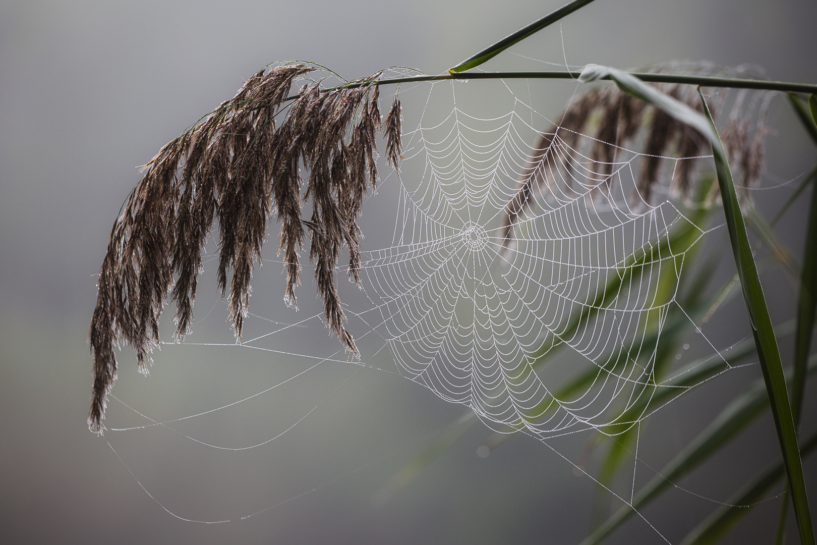 ... herbstlich ...