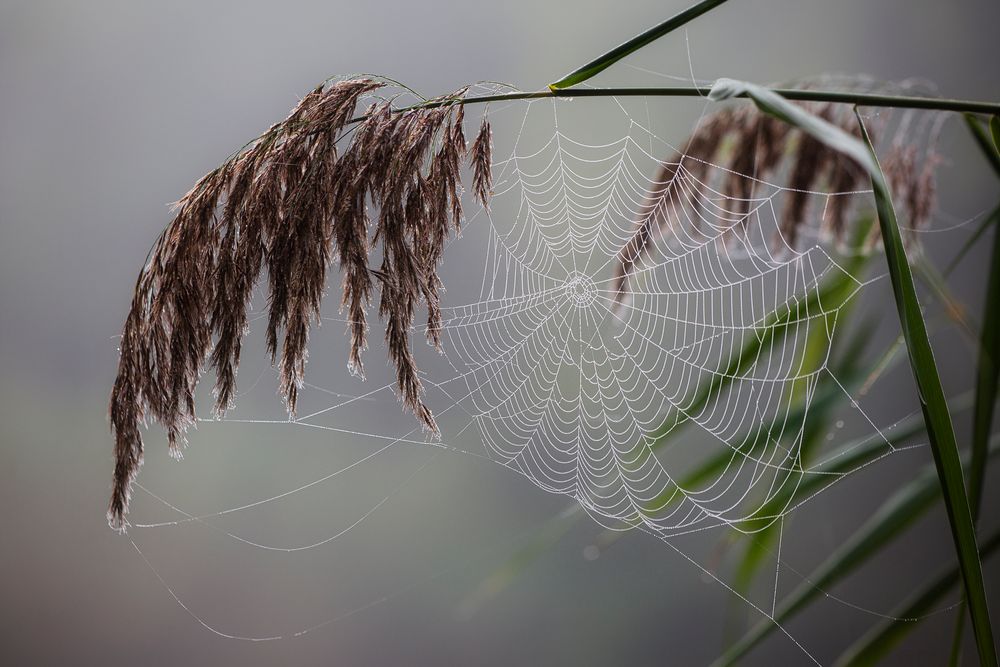 ... herbstlich ...