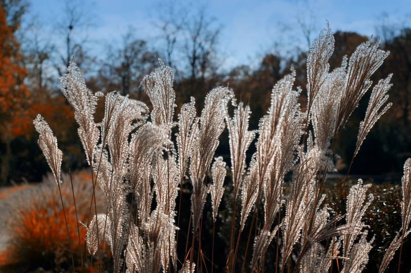 herbstlich