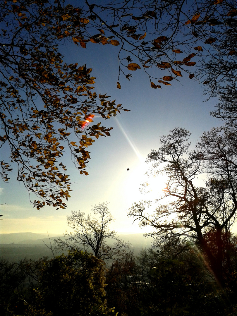 Herbstlich