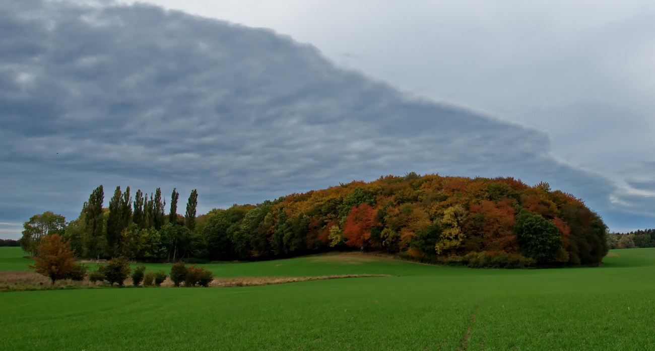 Herbstlich