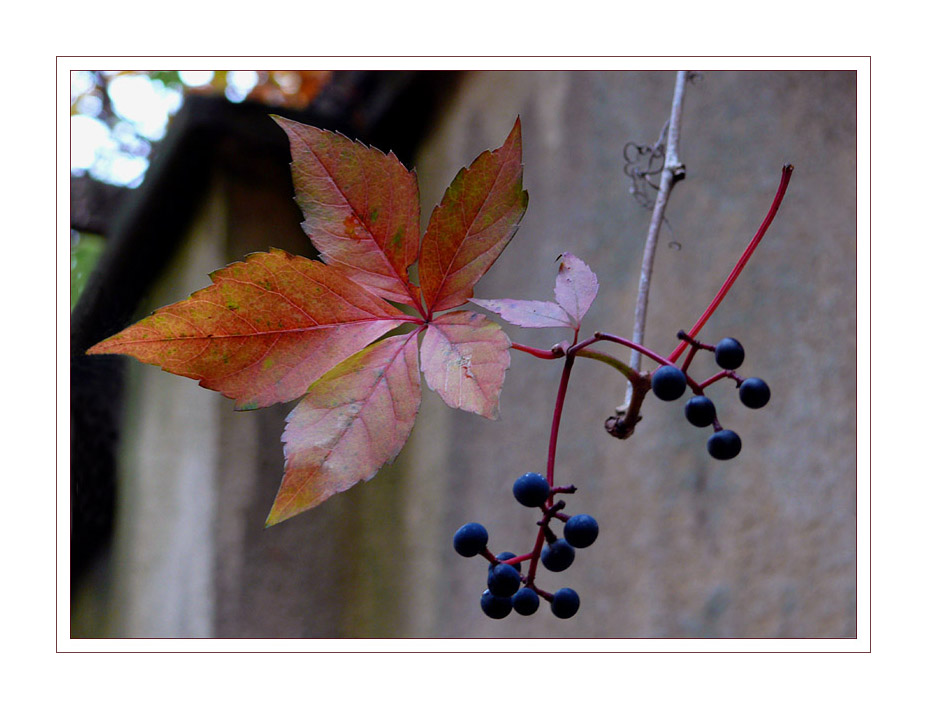 Herbstlich